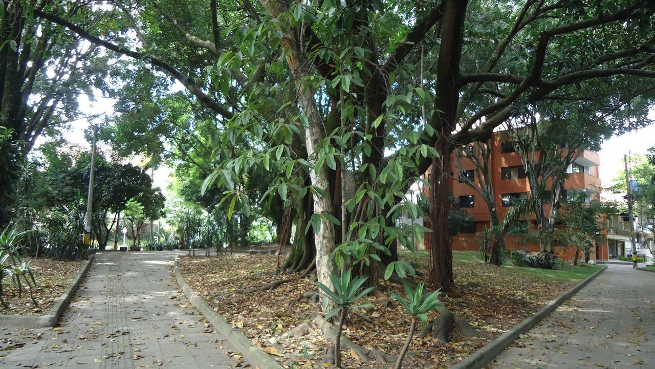 Iris Hostel Medellín Exteriör bild